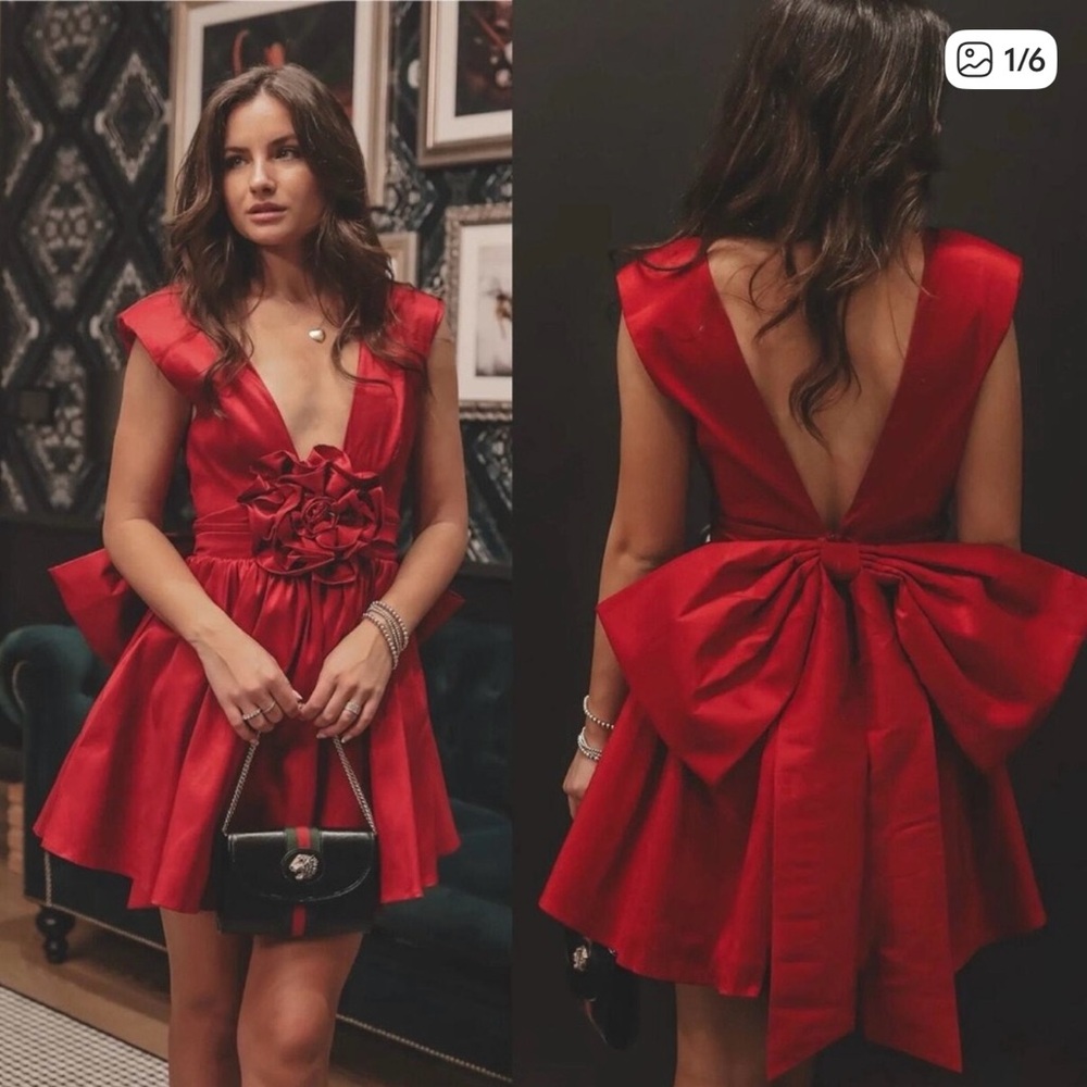 NWT For Love and Lemons rose mini dress